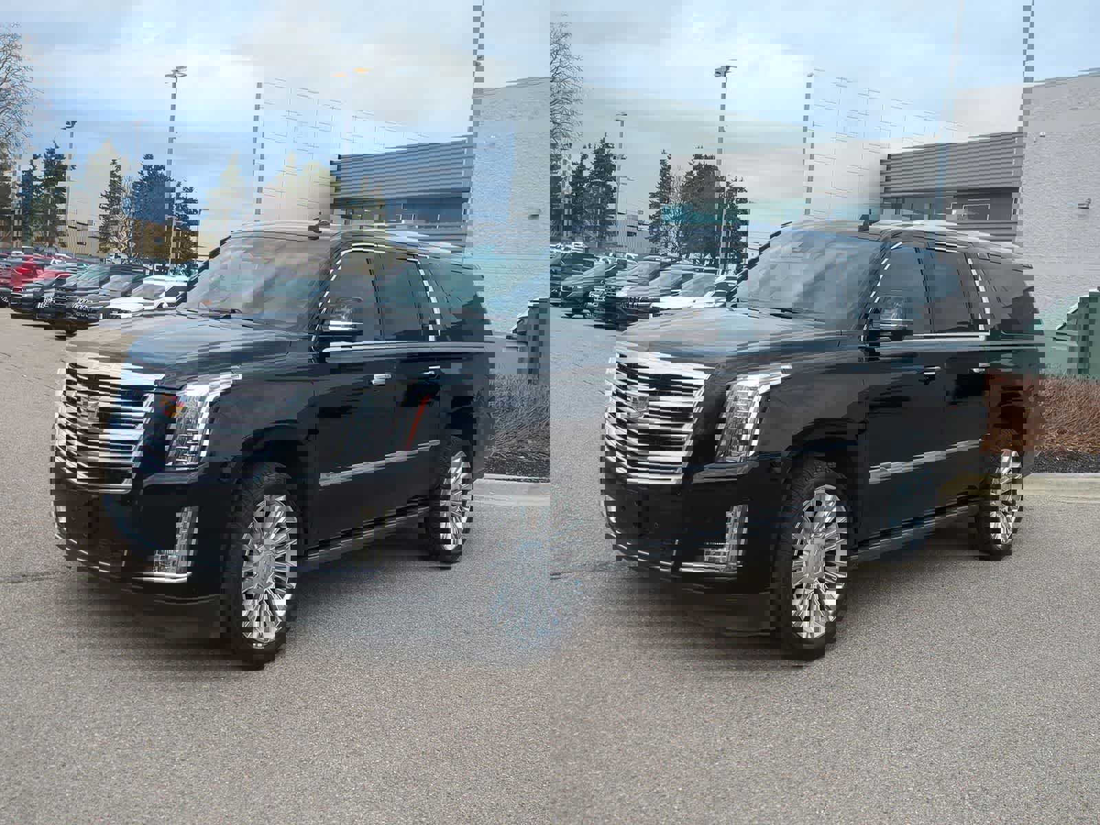 Used 2015 Cadillac Escalade ESV Platinum image 4