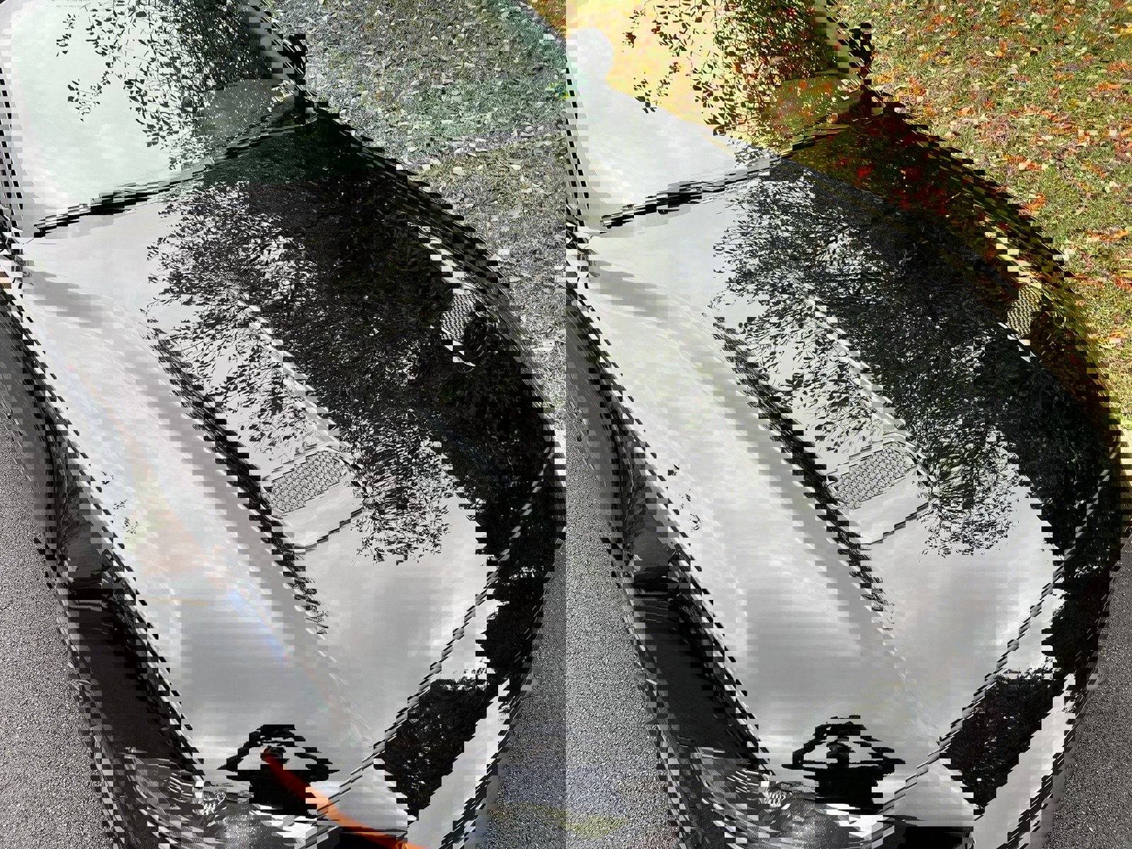 Used 2019 Ford Mustang GT Premium w/ Enhanced Security Package image 68