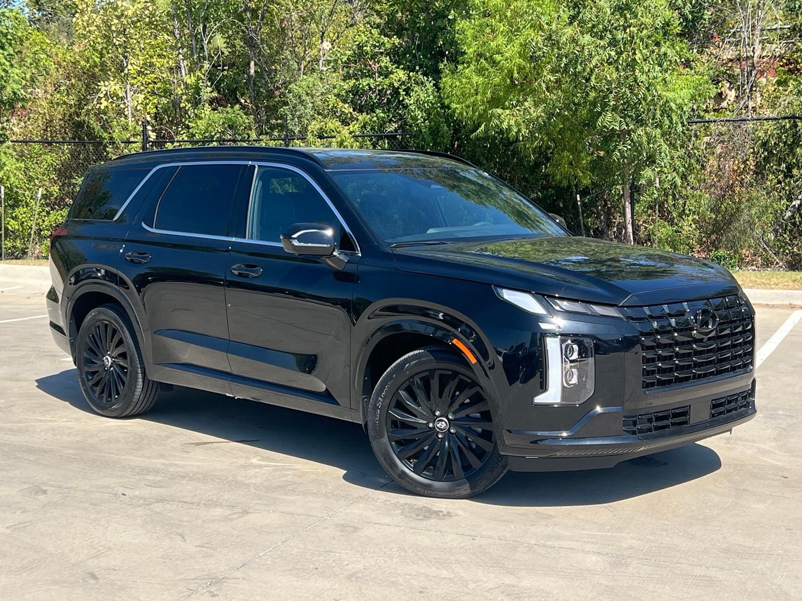 Used 2025 Hyundai Palisade Calligraphy