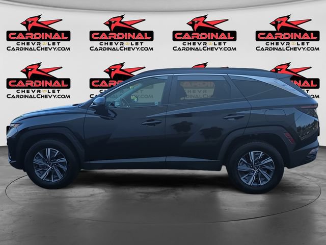 Used 2023 Hyundai Tucson Blue AWD/4WD image 6