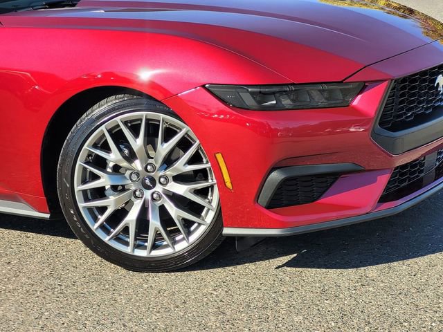 Used 2025 Ford Mustang Premium image 6