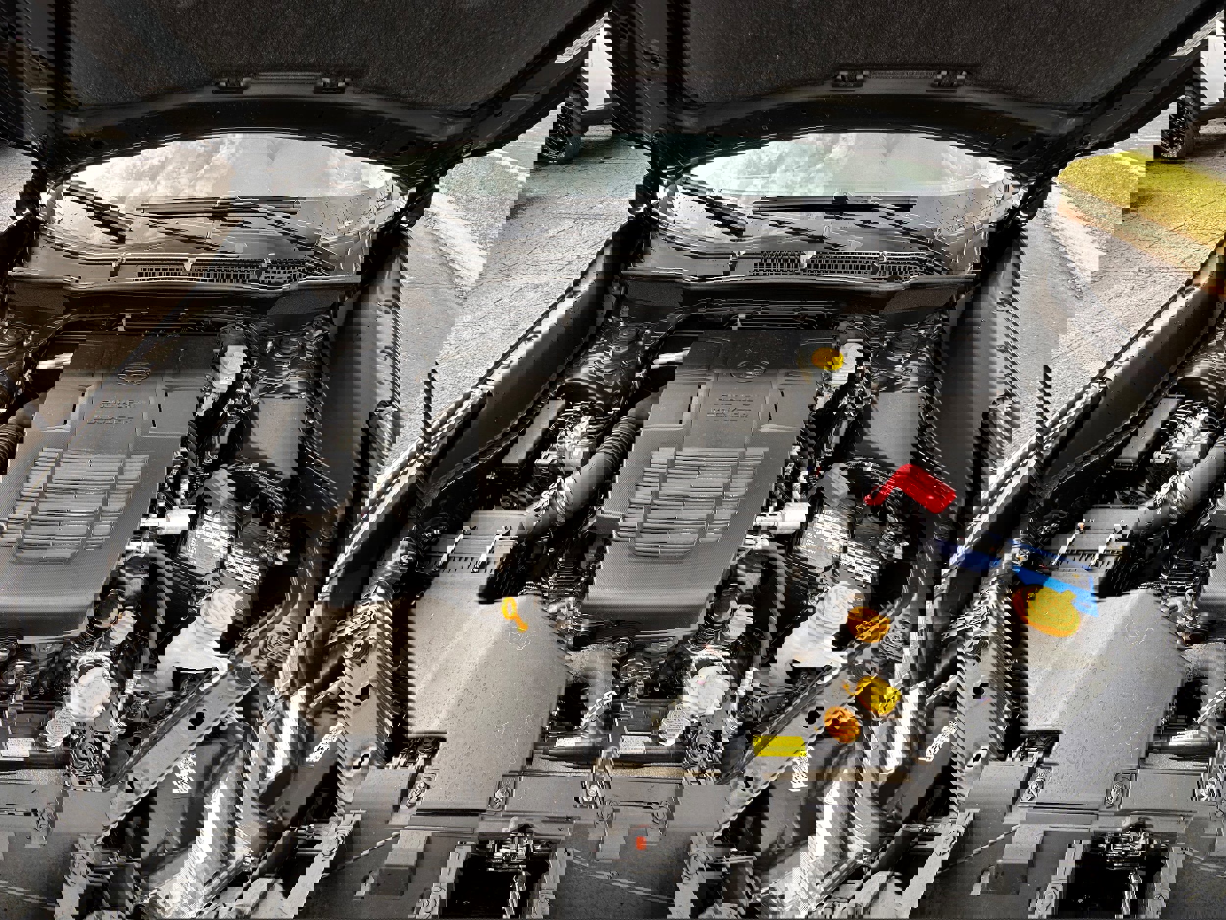 Certified 2023 Subaru Forester Touring image 10