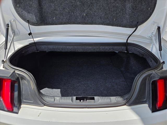 Used 2019 Ford Mustang Premium RWD image 17