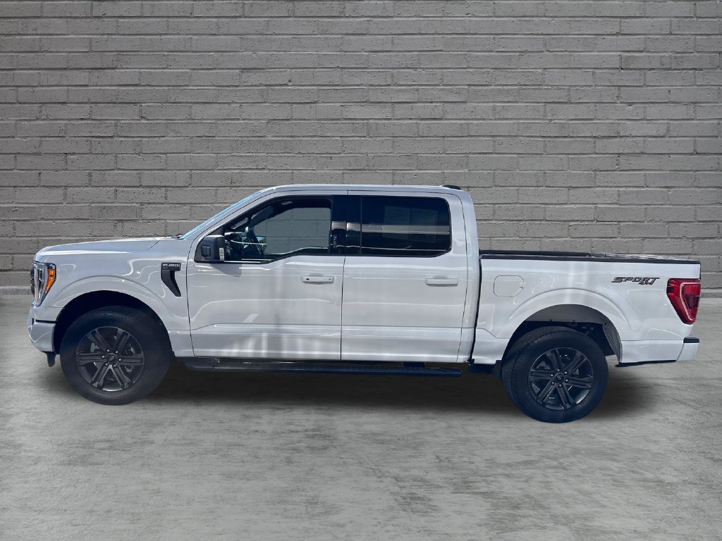 Used 2023 Ford F150 XLT w/ Equipment Group 302A High AWD/4WD image 4