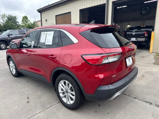Used 2022 Ford Escape SE w/ Convenience Package FWD image 5