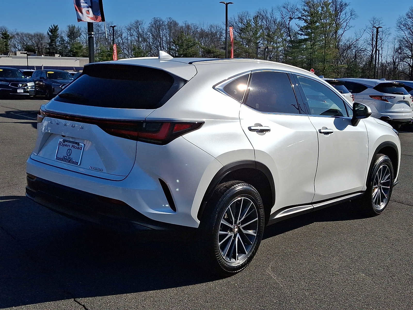 Used 2024 Lexus NX 250 FWD w/ Cold Area Package image 6