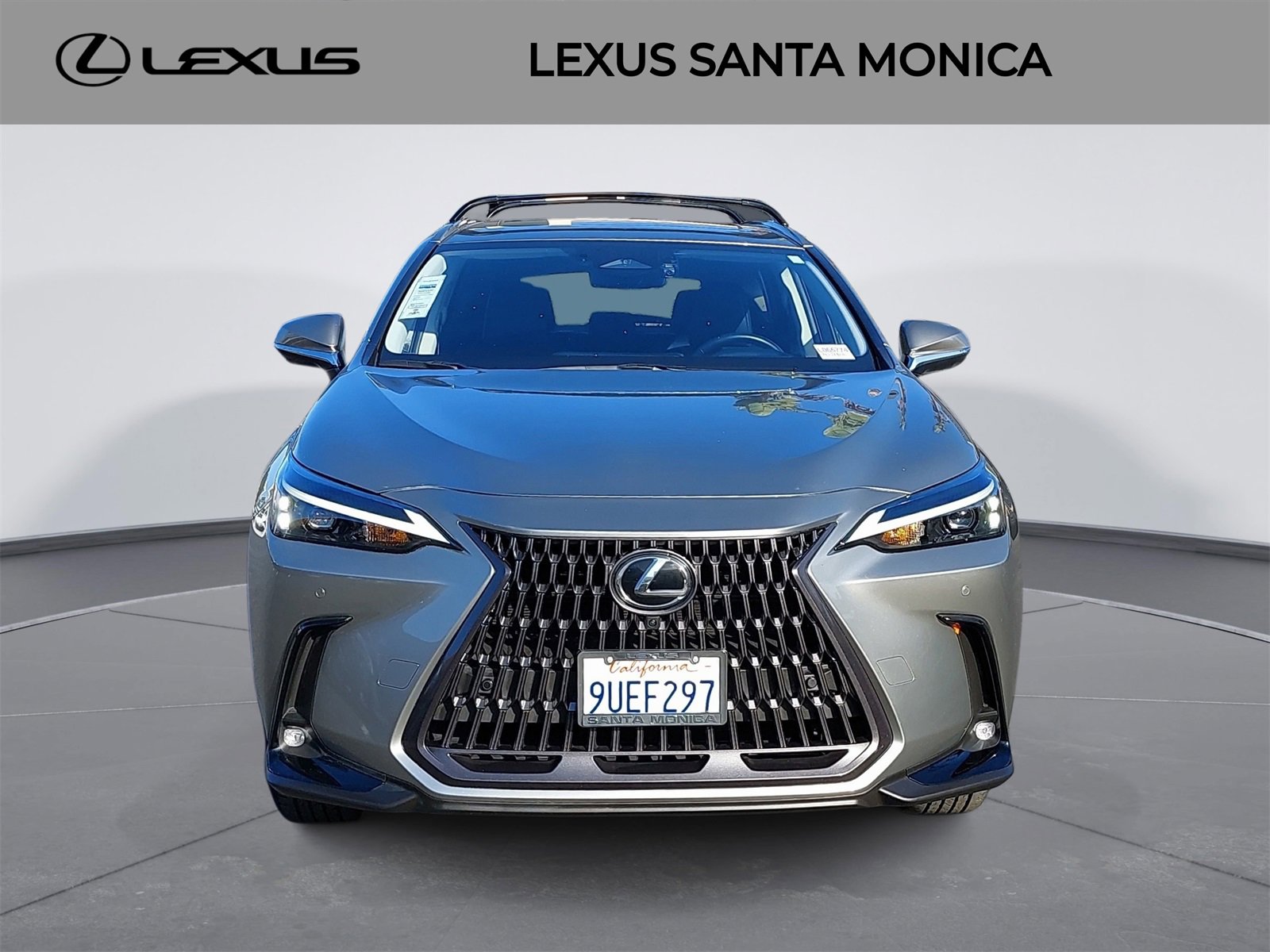 Used 2025 Lexus NX 350h AWD w/ Premium Package image 2