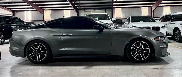 Used 2023 Ford Mustang GT w/ Equipment Group 301A RWD image 2
