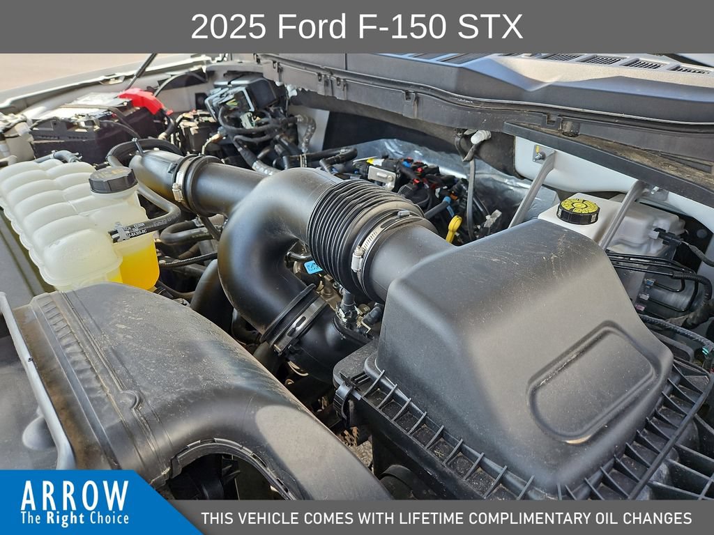 Used 2025 Ford F150 STX w/ Equipment Group 200A RWD image 15