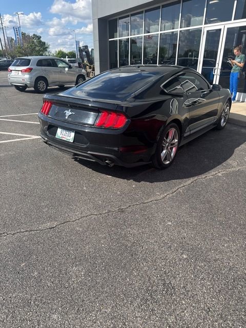 Used 2019 Ford Mustang Premium w/ Equipment Group 201A RWD image 6