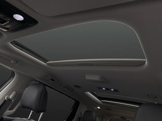 New 2026 Kia Carnival SX image 7