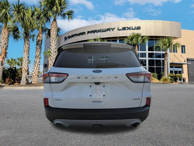 Used 2020 Ford Escape SEL AWD/4WD image 6