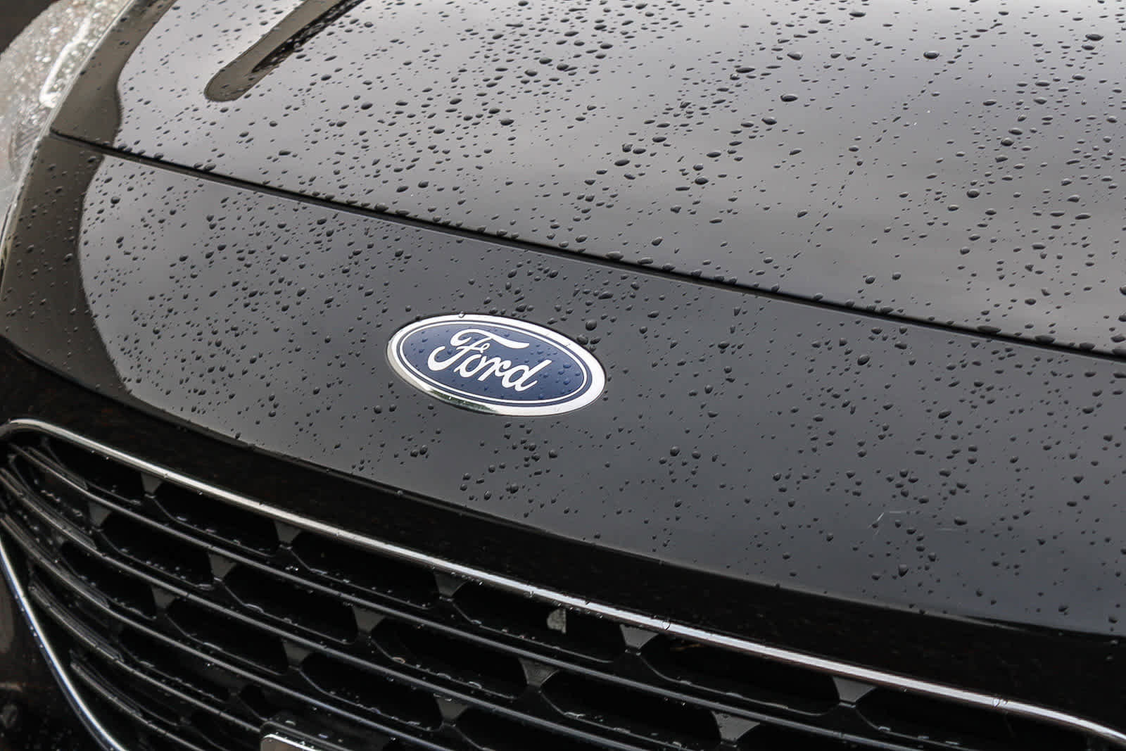 Used 2022 Ford Escape SE w/ SE Sport Appearance Package image 9