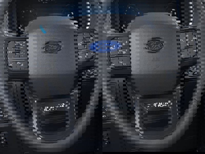 New 2025 Ford F150 Platinum image 12