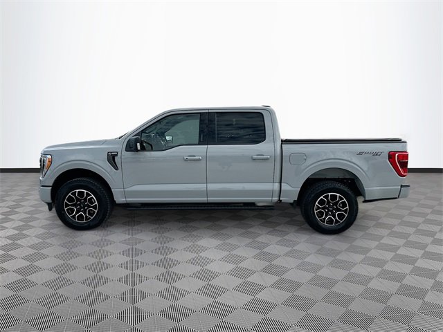 Used 2023 Ford F150 XLT w/ Equipment Group 302A High image 4