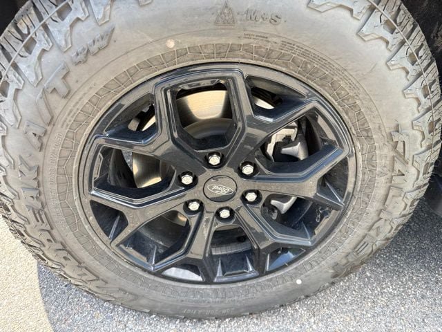 Used 2024 Ford Expedition Timberline AWD/4WD image 17