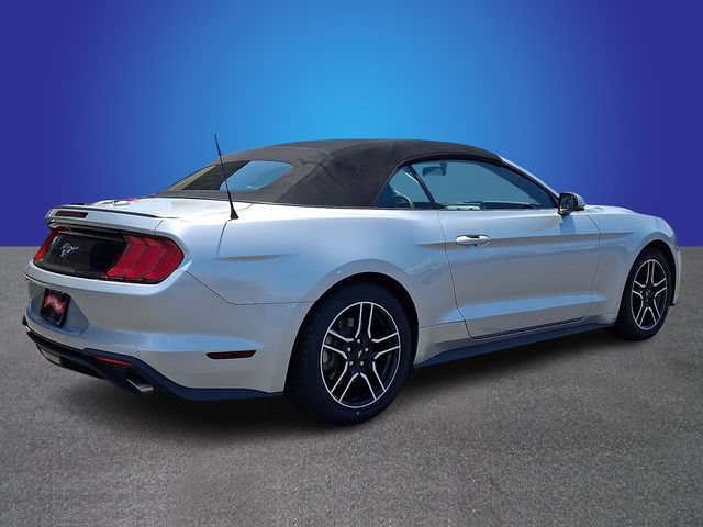 Used 2019 Ford Mustang Premium RWD image 5