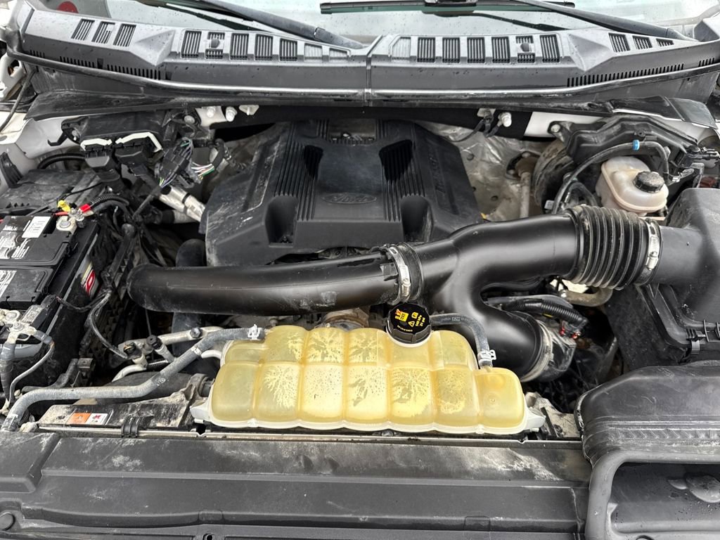 Used 2019 Ford F150 Platinum w/ Equipment Group 701A Luxury image 35