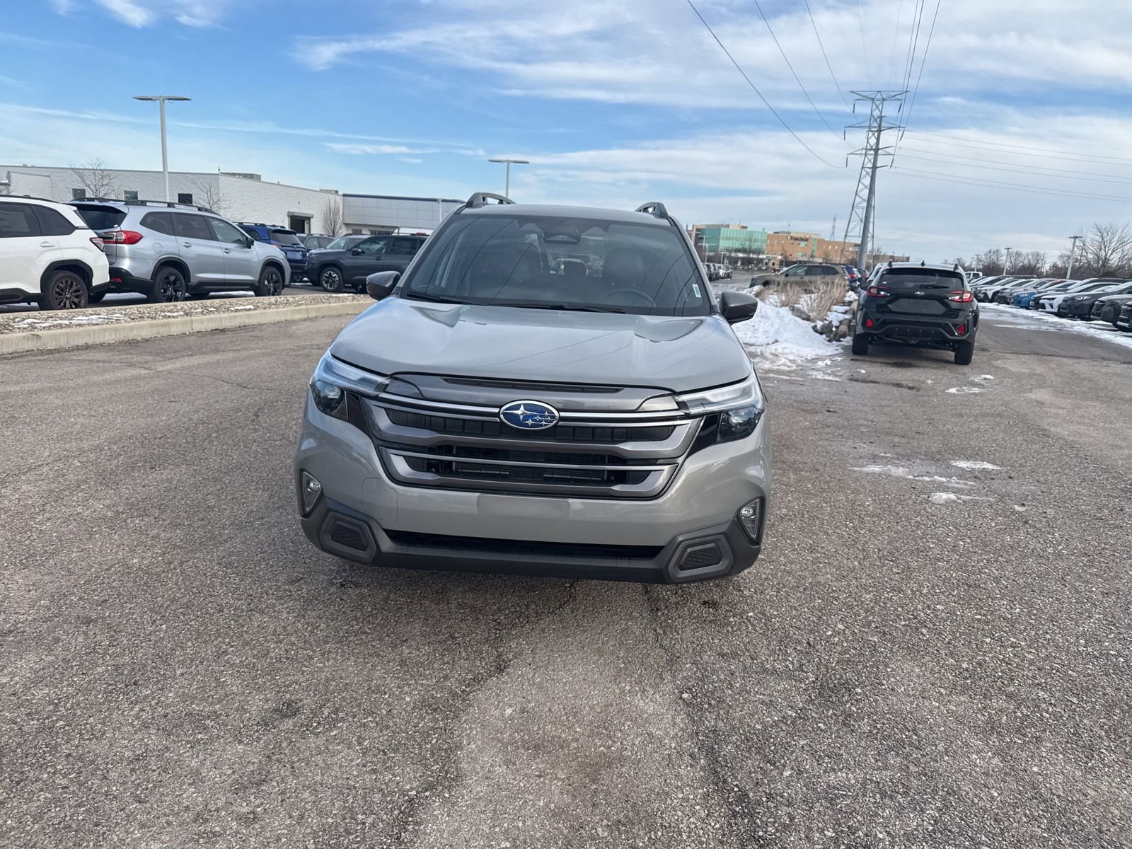 Certified 2025 Subaru Forester Limited image 6