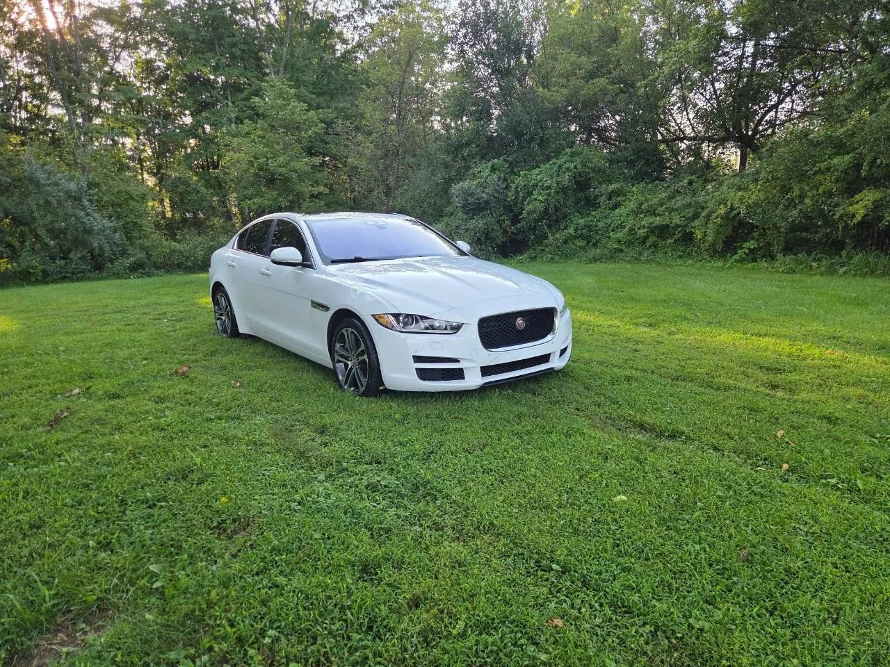 Used 2017 Jaguar XE Premium AWD/4WD image 10