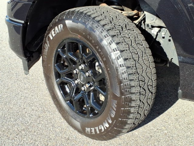 Used 2024 Ford F150 XLT w/ Equipment Group 302A MID AWD/4WD image 8
