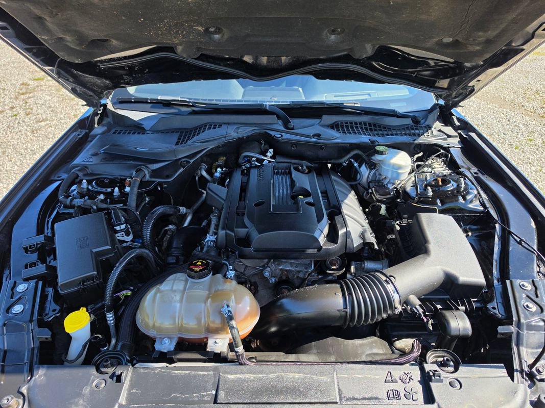 Used 2019 Ford Mustang Coupe w/ Ford Safe & Smart Package RWD image 27