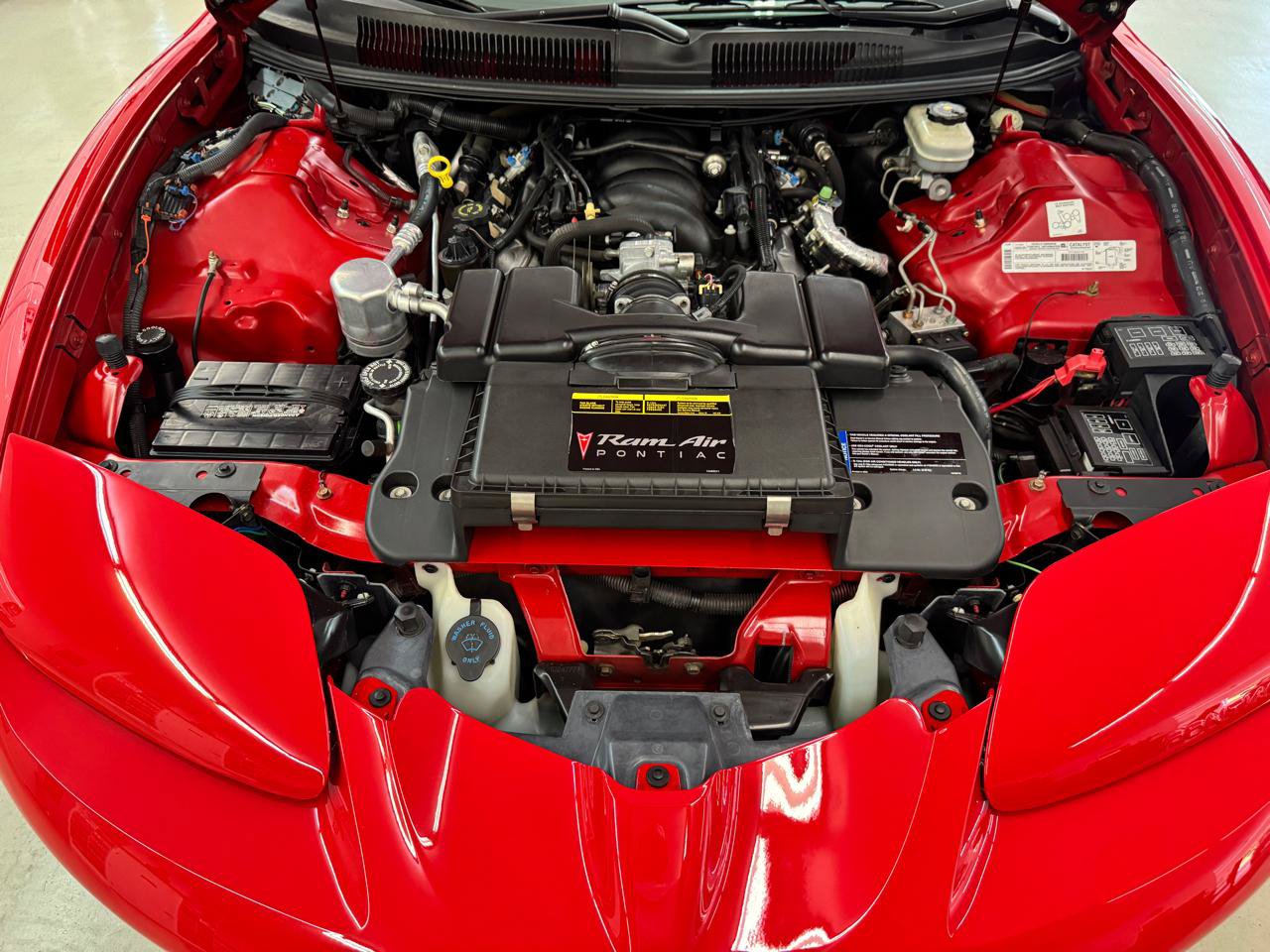 Used 2000 Pontiac Firebird Formula RWD image 20
