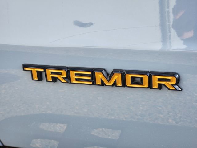 Used 2025 Ford Expedition Tremor image 20