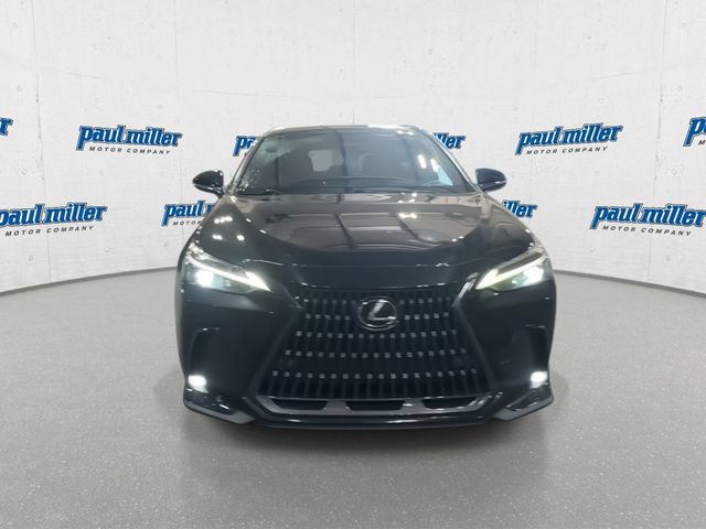 Used 2023 Lexus NX 350h AWD image 3