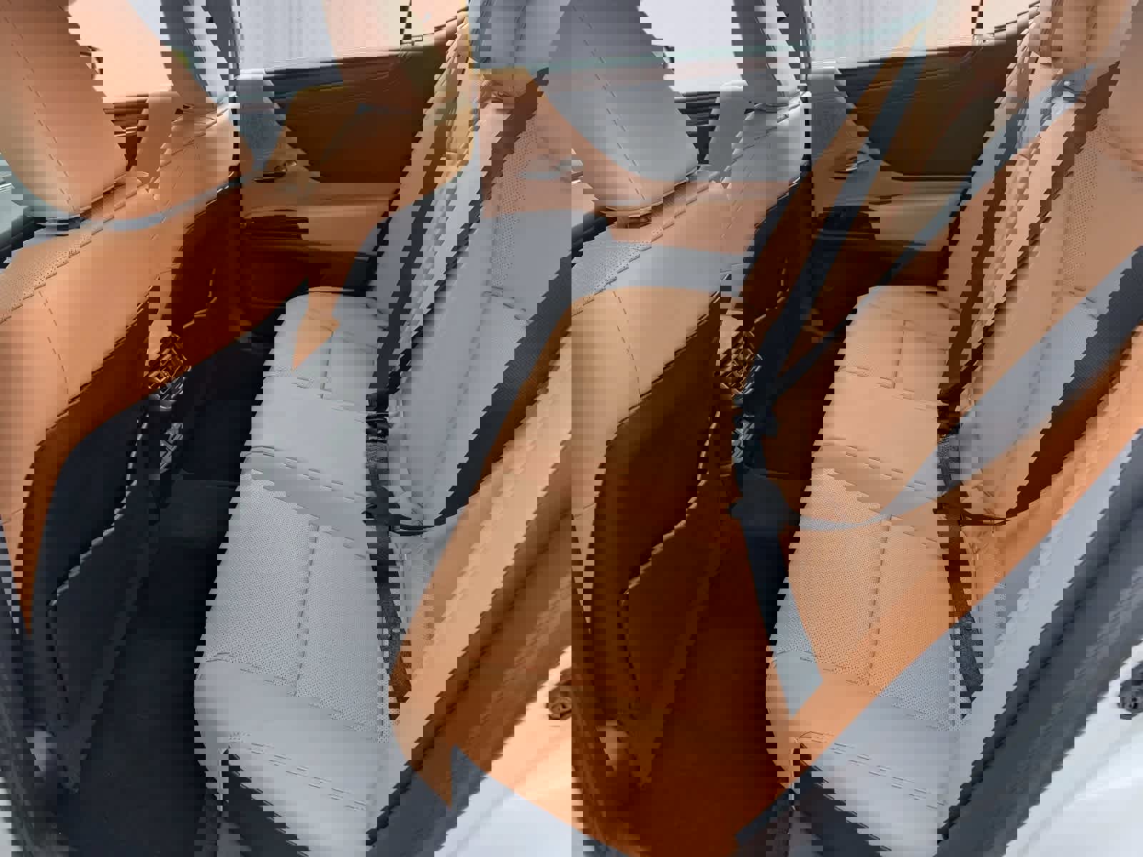 Used 2024 Lexus ES 350 w/ Premium Package image 12