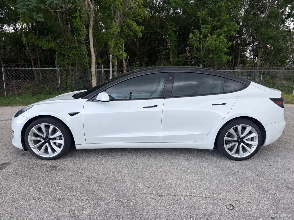 Used 2019 Tesla Model 3 Long Range AWD/4WD image 12