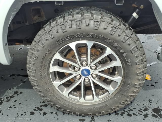 Certified 2019 Ford F150 XLT w/ Equipment Group 302A Luxury AWD/4WD image 7