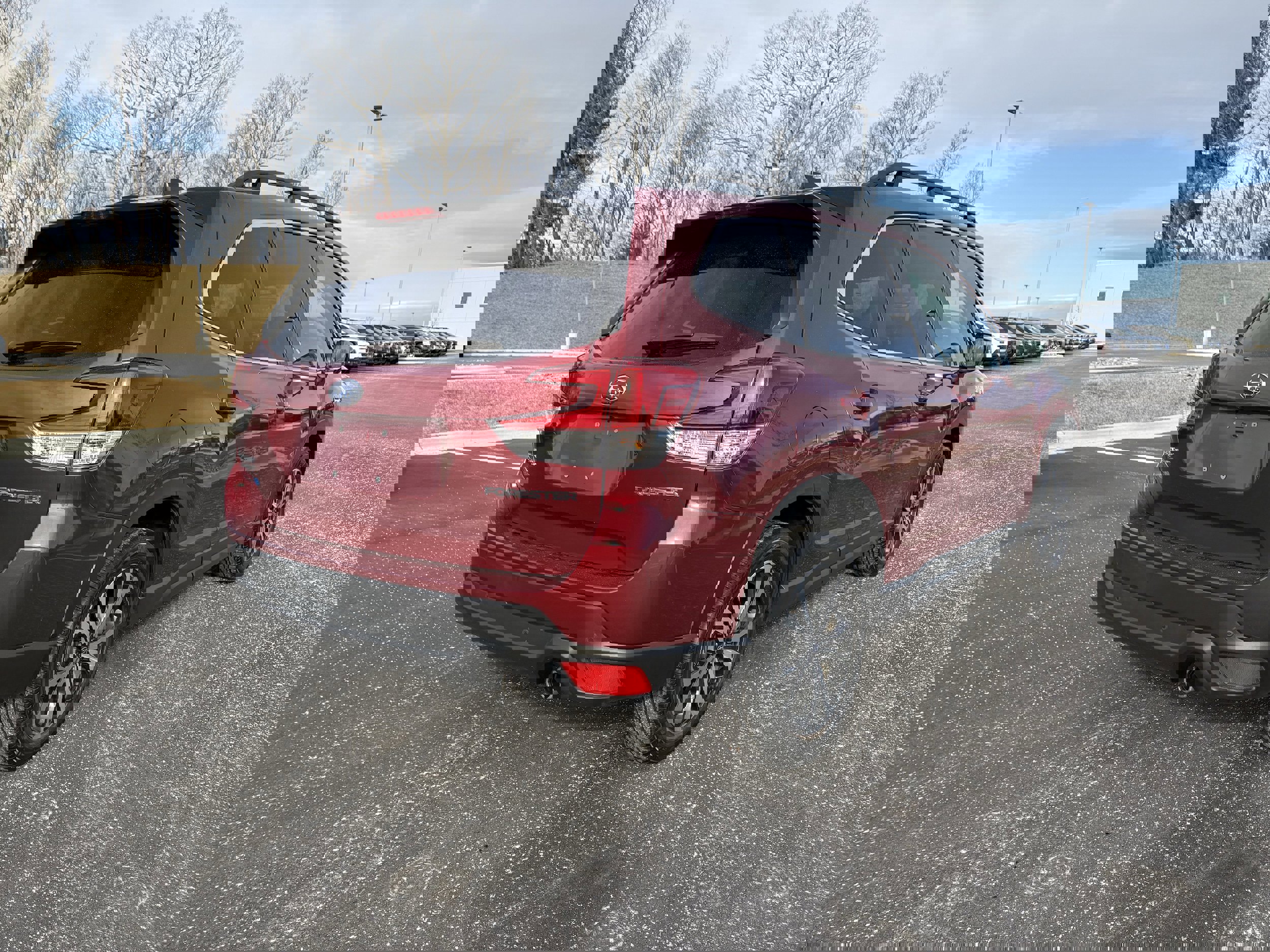 Certified 2024 Subaru Forester Limited image 9