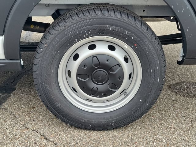 New 2026 Ford Transit 150 Low Roof RWD image 5