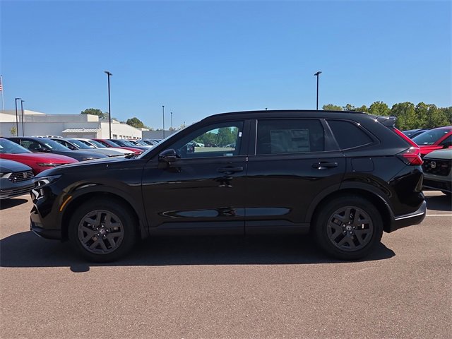 New 2026 Honda CR-V TrailSport video 2