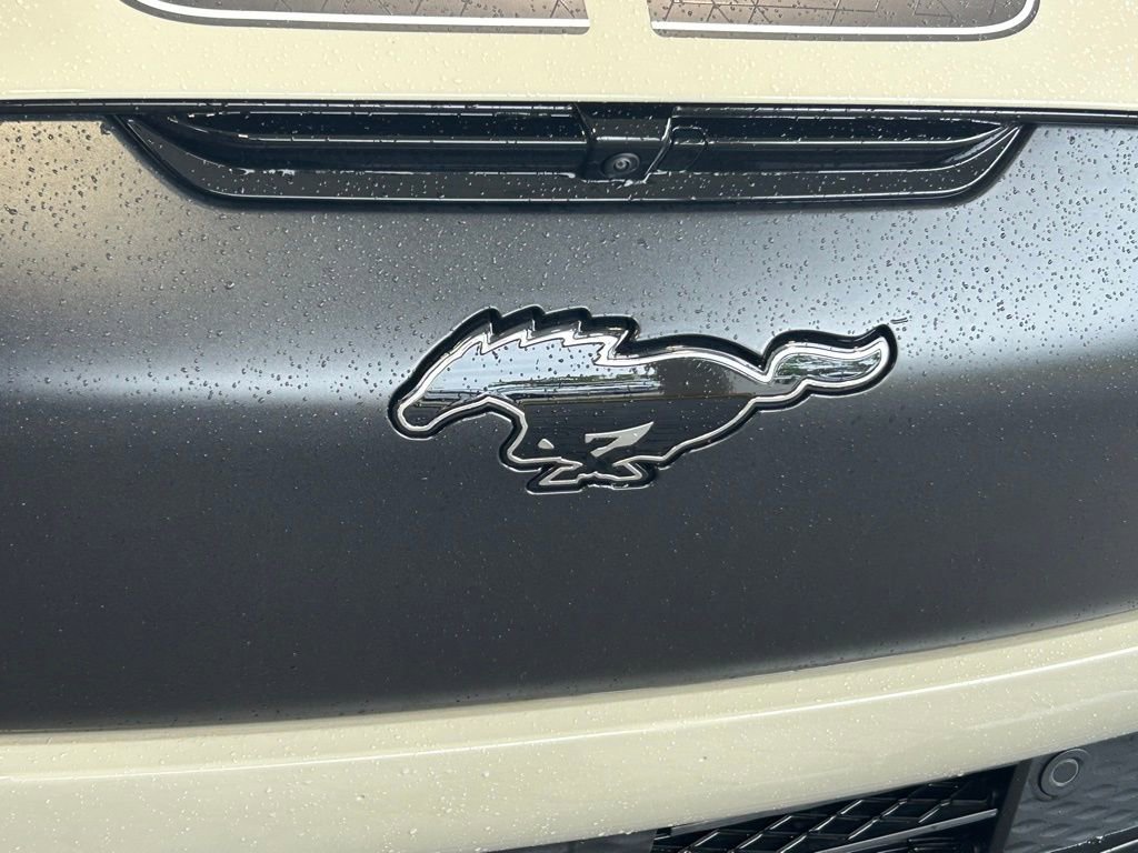 New 2025 Ford Mustang Mach-E GT w/ Interior Protection Package AWD/4WD image 17