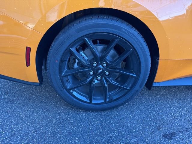 New 2026 Ford Mustang Coupe w/ Mustang Nite Pony Package RWD image 12
