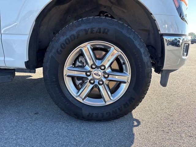 Used 2025 Ford F150 XLT w/ Equipment Group 301A Standard AWD/4WD image 11
