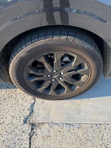 Used 2024 Kia Carnival SX Prestige image 4