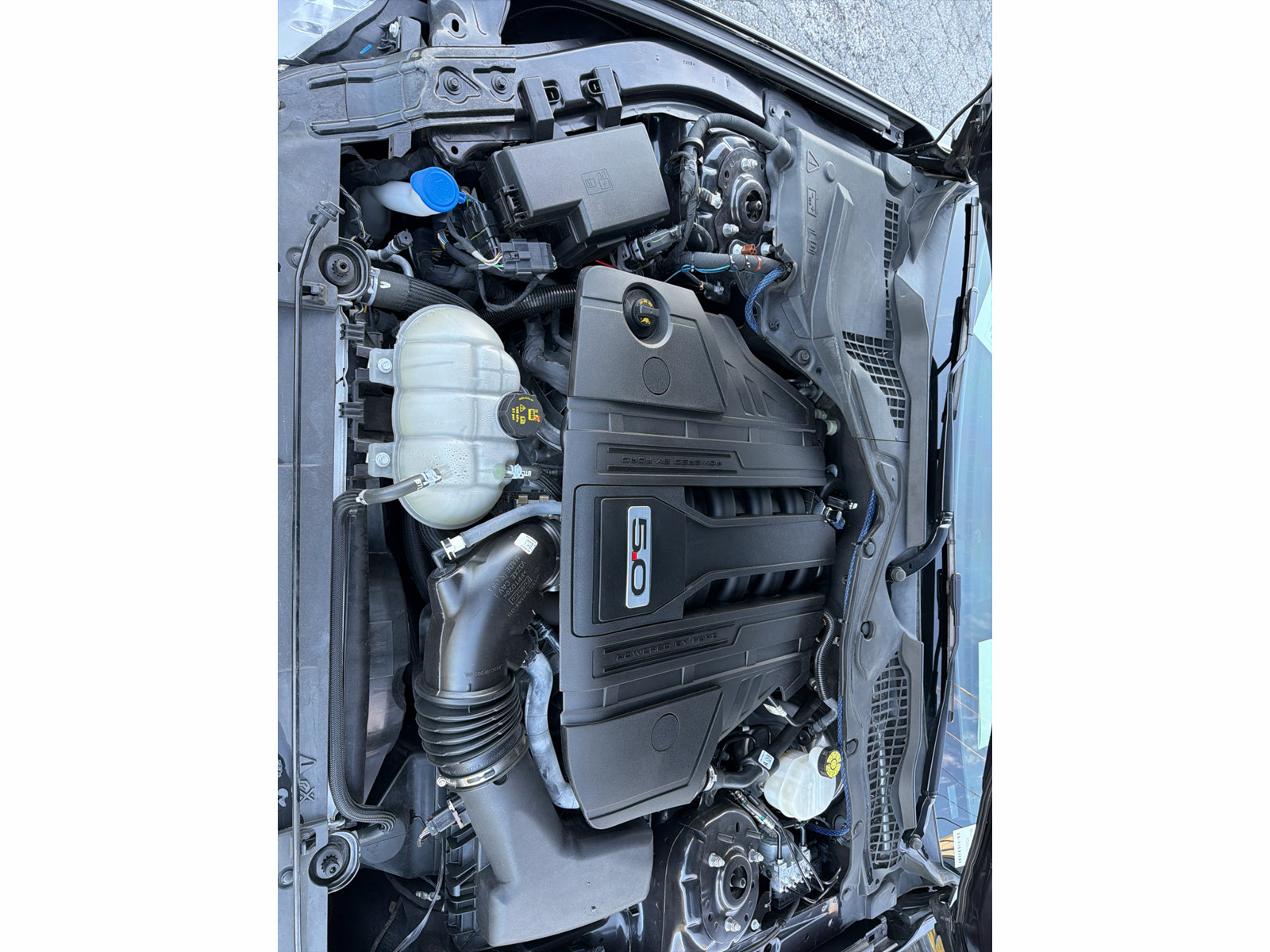 Used 2023 Ford Mustang GT Premium RWD image 30