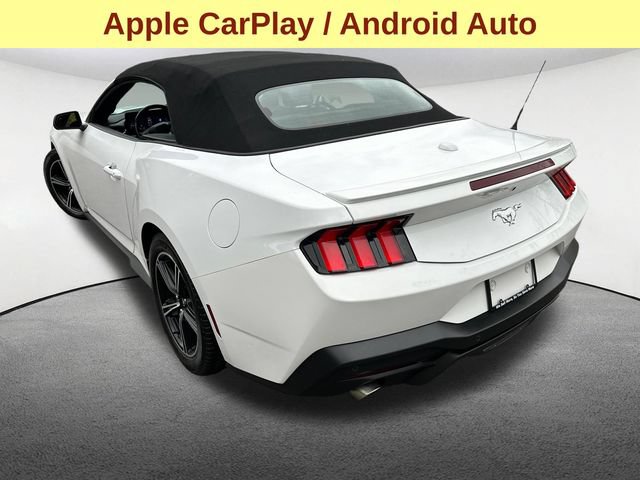 Used 2024 Ford Mustang Premium RWD image 7