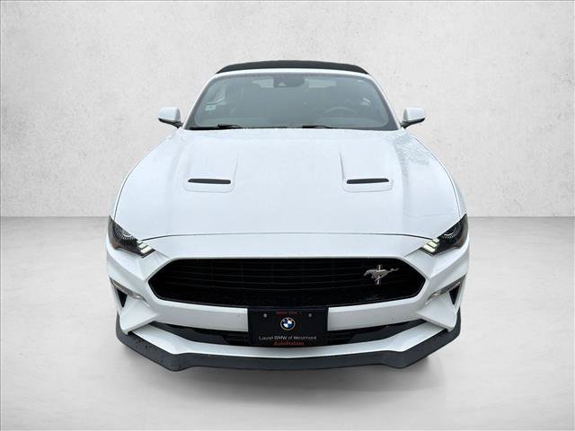 Used 2019 Ford Mustang GT Premium w/ California Special Package RWD image 2