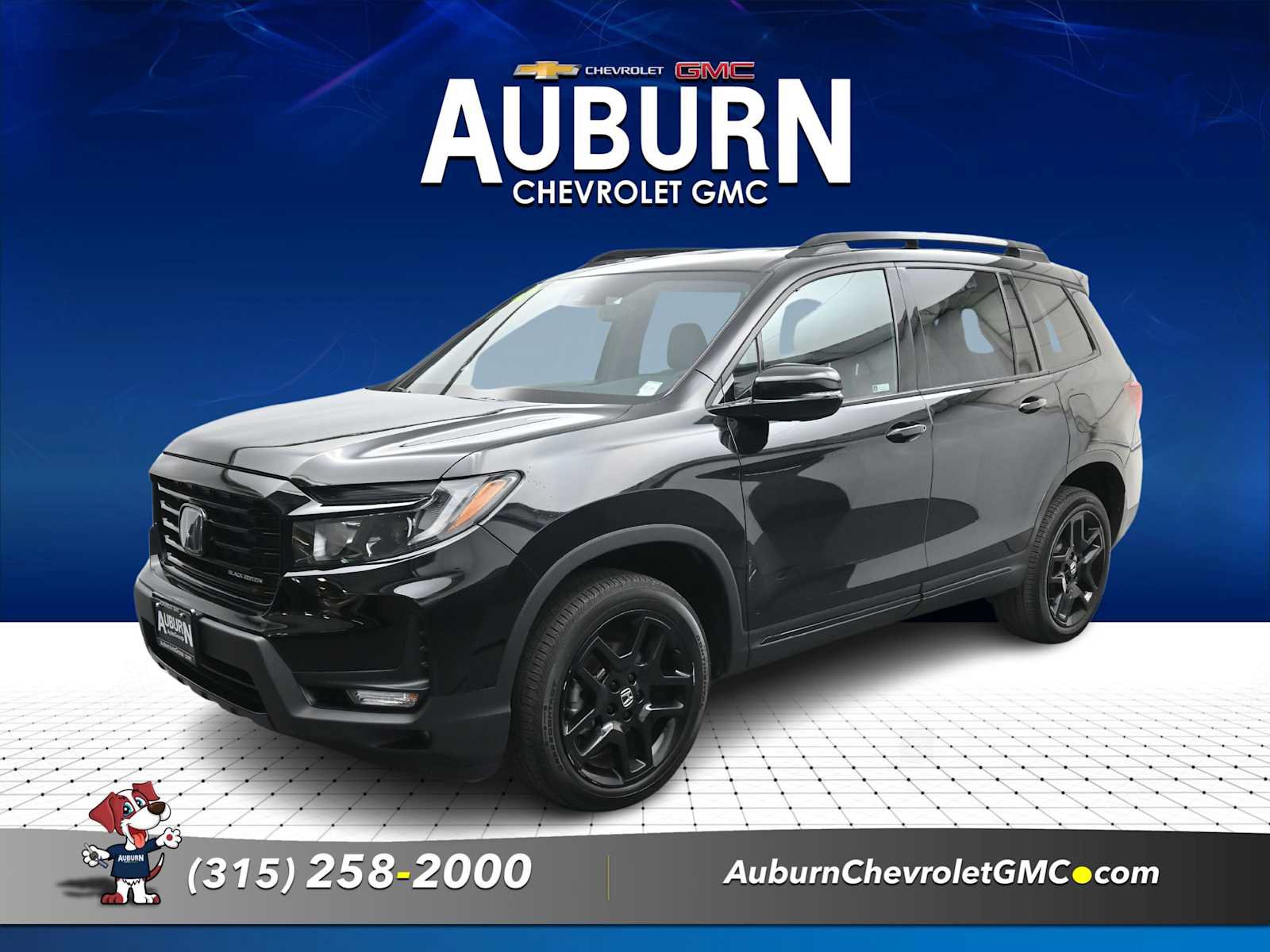 Used 2024 Honda Passport Black Edition image 4
