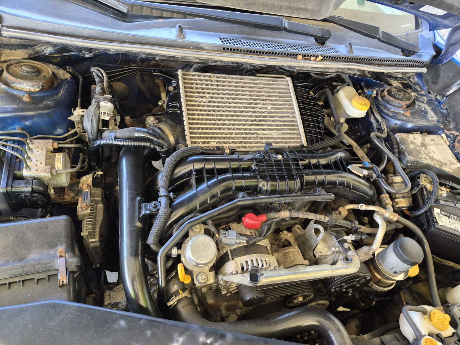 Used 2016 Subaru WRX Premium image 14