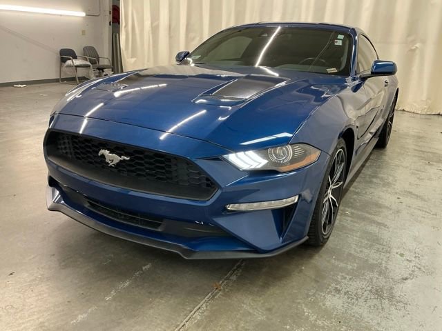 Used 2023 Ford Mustang Coupe w/ Equipment Group 101A image 7