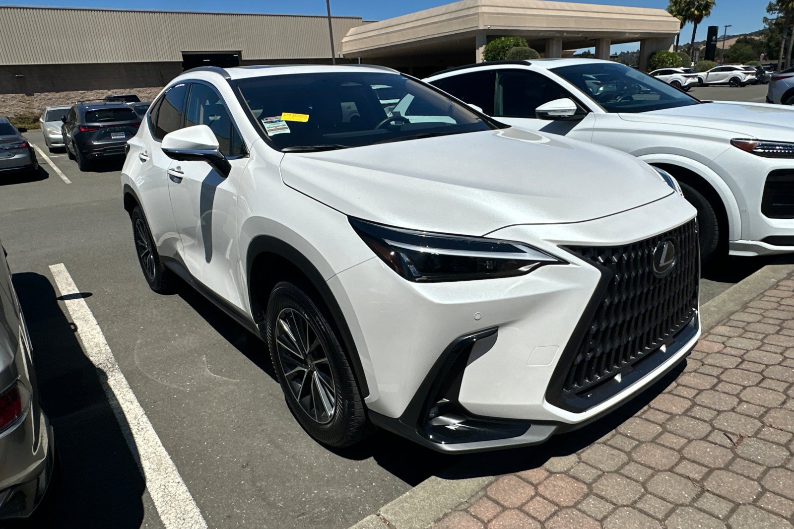 Used 2025 Lexus NX 350h AWD w/ Premium Package image 2