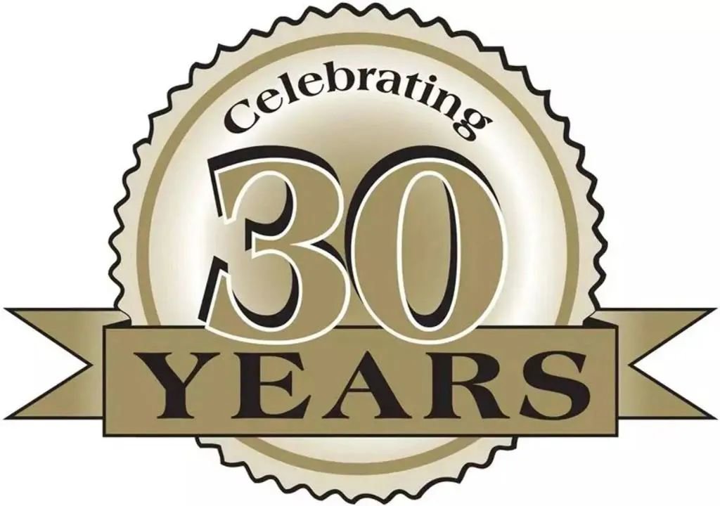 Used 2017 Hyundai Elantra GT image 2