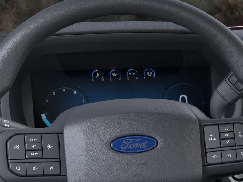 New 2025 Ford F150 STX w/ LOBO Package image 13