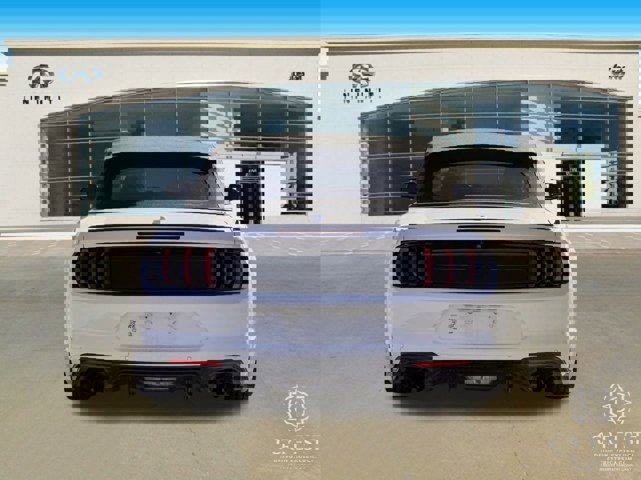 Used 2019 Ford Mustang GT Premium w/ Equipment Group 401A image 4