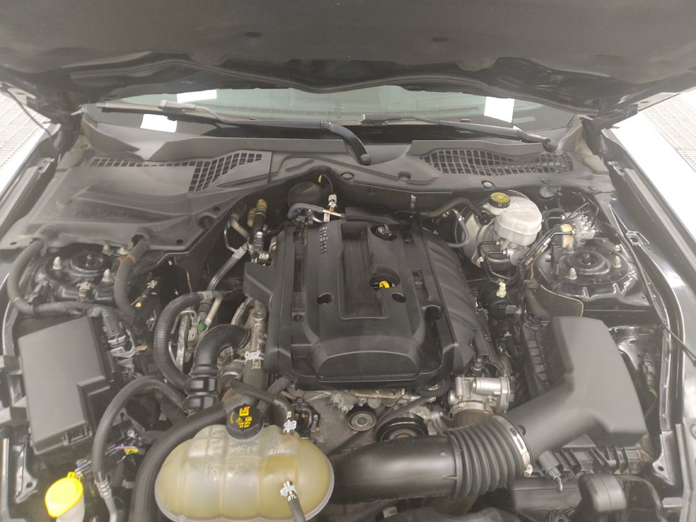 Used 2018 Ford Mustang Premium w/ Equipment Group 201A RWD image 30